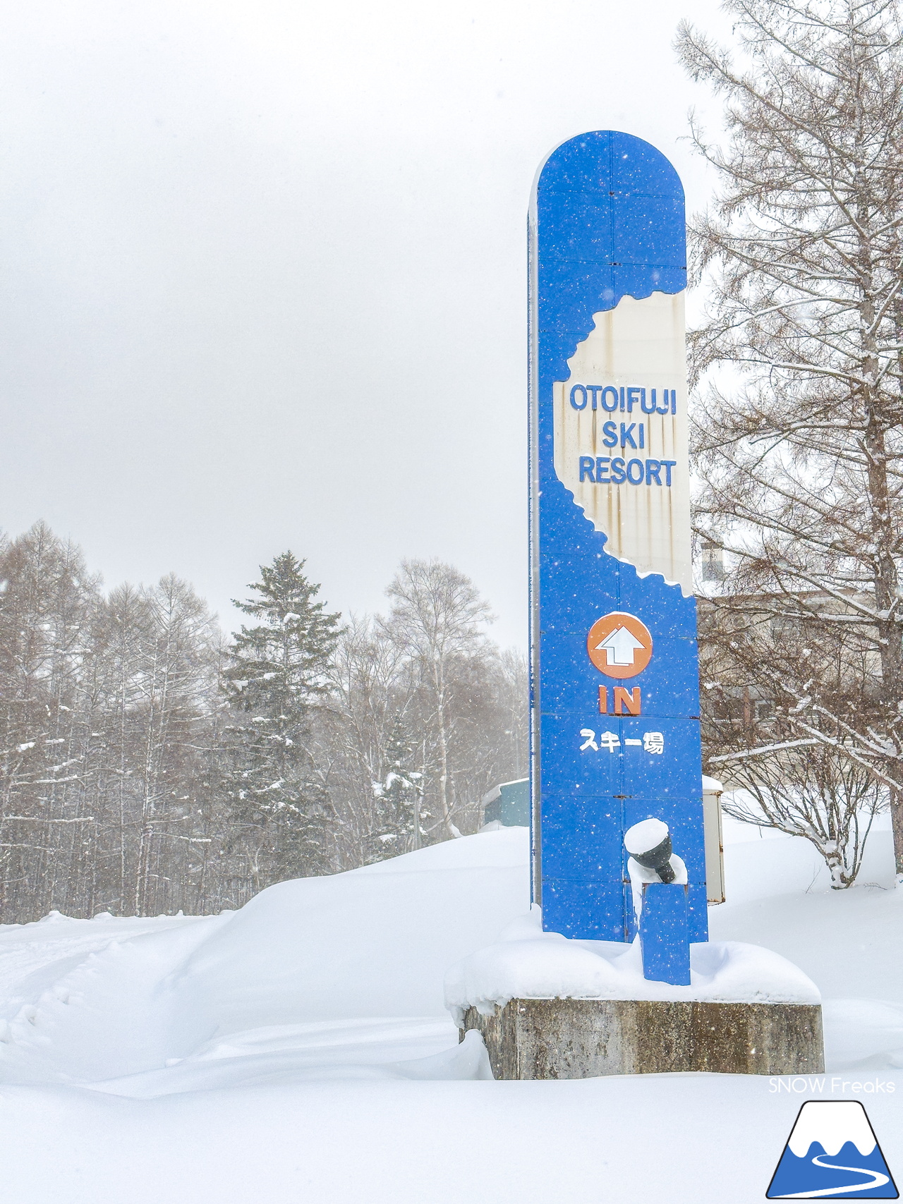 音威富士スキー場｜気が付けばナイター照明が灯り、夕暮れ滑走。プライベート感覚で滑れる道北のローカルゲレンデ！